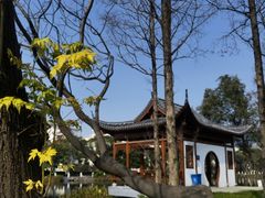 -河泥荡文化公园