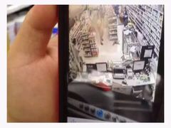 盛京一禾-盛京一禾