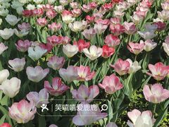 -国家植物园