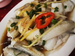 -蛇口康乐快餐鱼仔档(翠苑小区店)