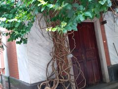 -陈李济中药博物馆