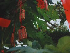 -博鳌禅寺