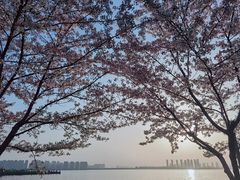 -白鹭园