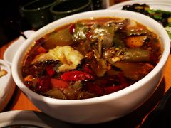 -云海肴·汽锅鸡·云南菜(天山百盛优客店)