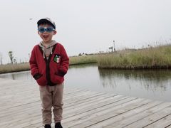 -春花秋色城市公园