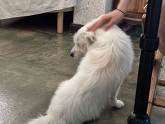 -绿房子方寸咖啡(星海名城店)