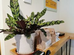 -LAB COFFEE来杯咖啡(浦仓路店)
