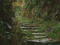 -杨家堂村