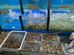 水产区-老东镇啤酒屋海鲜加工·蒸汽海鲜·海鲜烧烤(台东店)