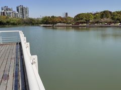 -新江湾城公园
