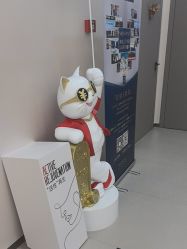 -小忠丽格医美