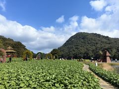 -广州市石门国家森林公园