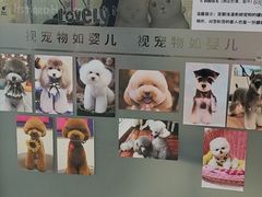 -全心全意连锁动物医院(石景山店)