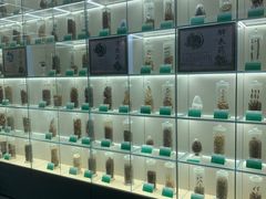 -广东中医药博物馆