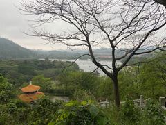 -水濂山森林公园