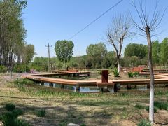 -东郊湿地公园