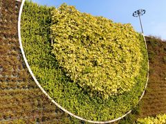 -深圳国际园林花卉博览园