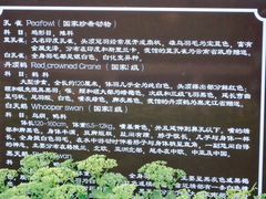 -钓鱼台国宾馆