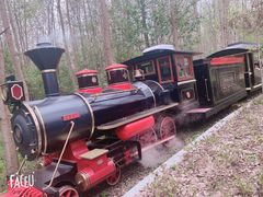 -合肥滨湖国家森林公园