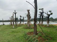 -松山湖南湖湾露营营地