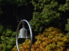 -昆山城市生态森林公园