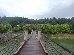 -铁山坪森林公园