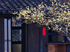 -青果巷历史文化街区