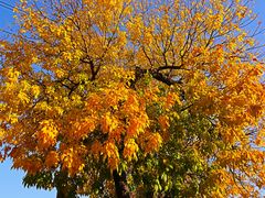 -北京西山国家森林公园