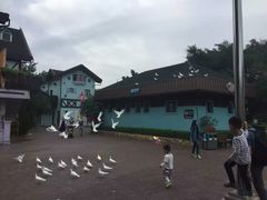 -东部华侨城