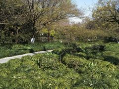 -西湖外事游船(花港观鱼码头)