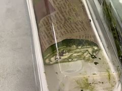 -工匠面包(壹方店)