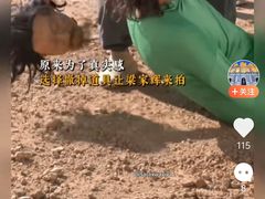 -CGV影城(东方广场4DX店)