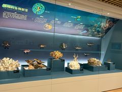 -中国湿地博物馆