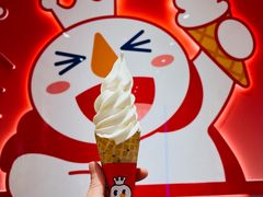 -蜜雪冰城(大智路店)