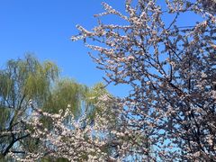 -秀水公园