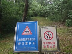 -盘龙城国家考古遗址公园