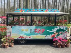 -东平国家森林公园