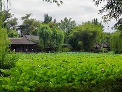 -老桂湖公园-杨升庵博物馆