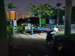 -金鸡岭桥头公园