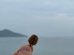 -南丫岛