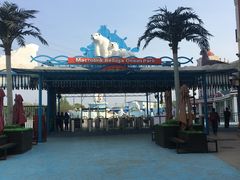 -芜湖新华联大白鲸海洋公园