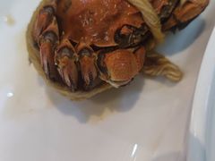 醉蟹-西新饭店(城中店)