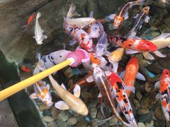 -波塞冬旅游度假区