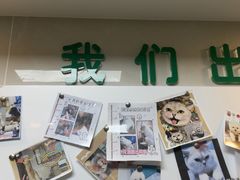 -半岛宠物医院24小时·内窥镜·牙科·碎石中心(府城大道店)