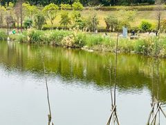 -飞来湖湿地公园