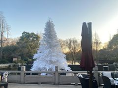 -杭州西子湖四季酒店-WL BISTRO西湖餐厅(灵隐路店)