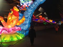-沈阳奥体冰雪嘉年华