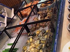 -长沙三景韦尔斯利酒店·Oval全日制餐厅自助餐