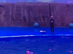 -华夏文旅海洋公园