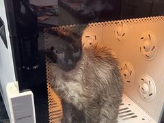 -宠物家(大兴旧宫店)
